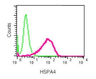 Flow Cytometry (Intracellular) - Anti-HSPA4 antibody [EPR14166] - BSA and Azide free (AB250864)
