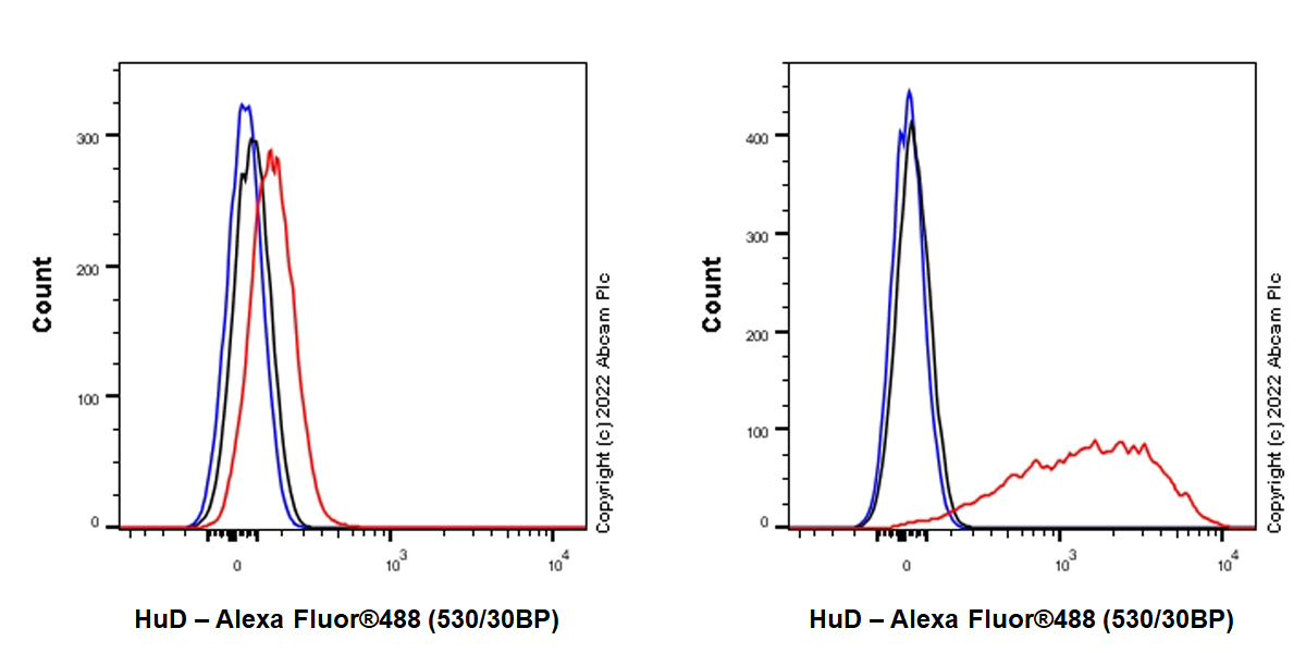 Flow Cytometry (Intracellular) - Anti-HuD antibody [EPR26472-54] (AB302514), expandable thumbnail