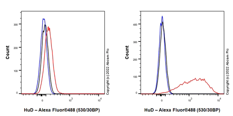 Flow Cytometry (Intracellular) - Anti-HuD antibody [EPR26472-54] (BSA and Azide free) (AB302515)