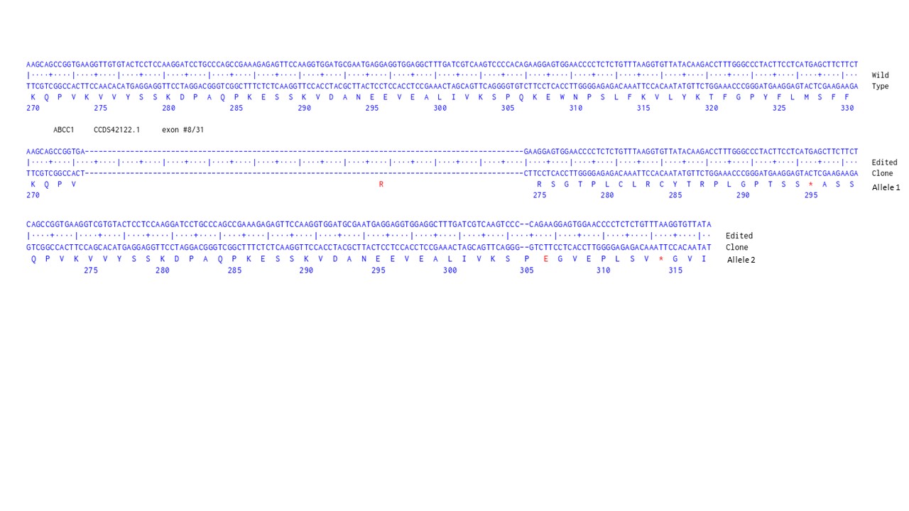 Next Generation Sequencing - Human ABCC1 knockout HCT116 cell line (AB286569), expandable thumbnail