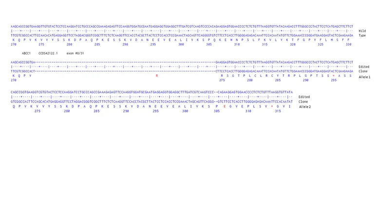 Next Generation Sequencing - Human ABCC1 knockout HCT116 cell line (AB286569)