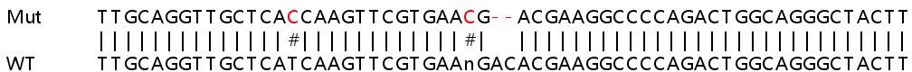 Sanger Sequencing - Human ABCC1 (MRP1) knockout HeLa cell lysate (AB257242), expandable thumbnail