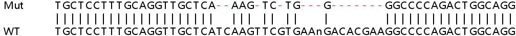 Sanger Sequencing - Human ABCC1 (MRP1) knockout HeLa cell lysate (AB257242), expandable thumbnail