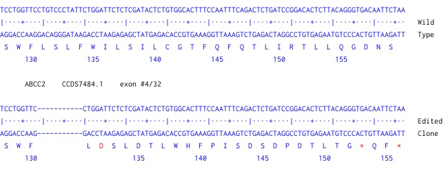 Next Generation Sequencing - Human ABCC2 knockout A549 cell line (ab261855), expandable thumbnail