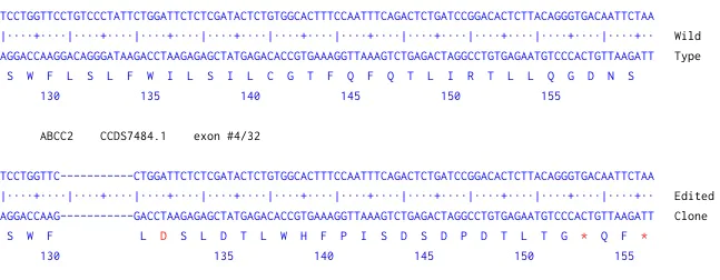 Next Generation Sequencing - Human ABCC2 knockout A549 cell line (AB261855)