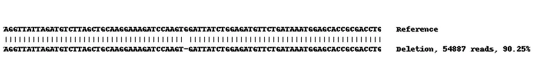 Next Generation Sequencing - Human ABCG2 knockout A549 cell line (AB259773)