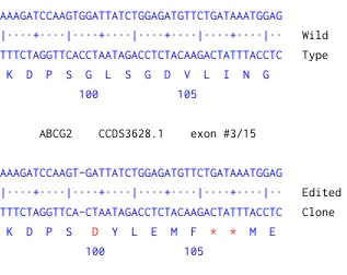 Next Generation Sequencing - Human ABCG2 knockout A549 cell line (AB259773)