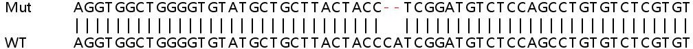 Human ABHD6 knockout HeLa cell lysate