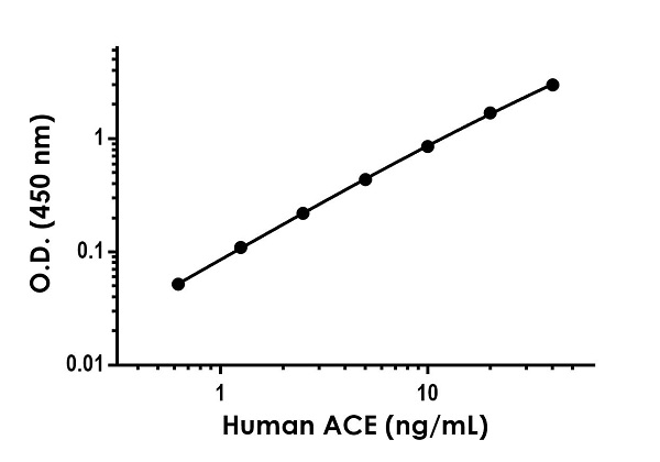 Sandwich ELISA - Human ACE ELISA Kit (AB263889), expandable thumbnail