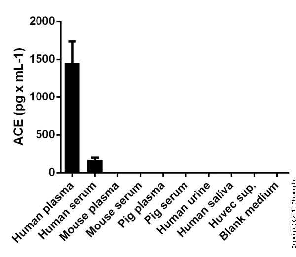 Sandwich ELISA - Human ACE ELISA Kit (CD143) (AB119577)