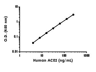 Sandwich ELISA - Human ACE2 ELISA Kit (AB235649), expandable thumbnail