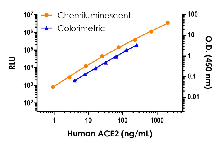 Sandwich ELISA - Human ACE2 ELISA Kit, Chemiluminescent (AB327289)