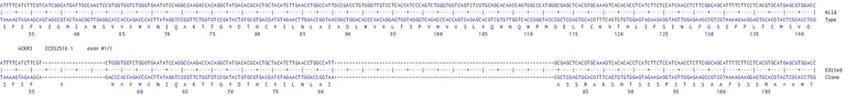 Next Generation Sequencing - Human ACKR3 knockout HCT116 cell line (AB287185)