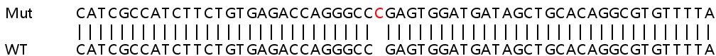 Sanger Sequencing - Human ACSL3 knockout HeLa cell line (AB265102), expandable thumbnail