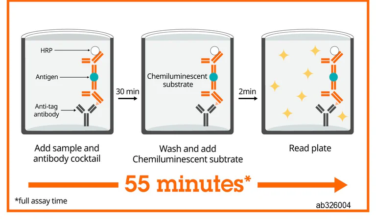 Sandwich ELISA - Human ADAM10 ELISA Kit, Chemiluminescent (AB326004)