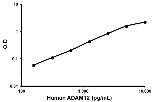 Sandwich ELISA - Human ADAM12 ELISA Kit (MCMP) (AB171346)