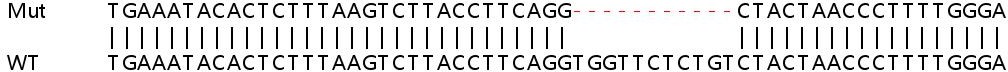 Sanger Sequencing - Human ADAM17 knockout HeLa cell lysate (AB256829), expandable thumbnail