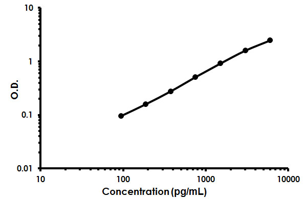 Sandwich ELISA - Human ADAMTS1 ELISA Kit (AB213751)