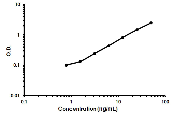 Sandwich ELISA - Human ADAMTS13 ELISA Kit (AB213752)