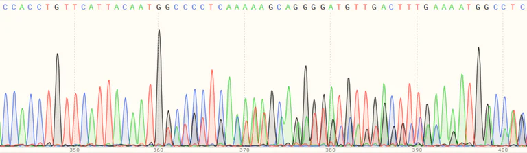 Sanger Sequencing - Human ADAR (ADAR1) knockout HEK-293T cell line (AB266846)