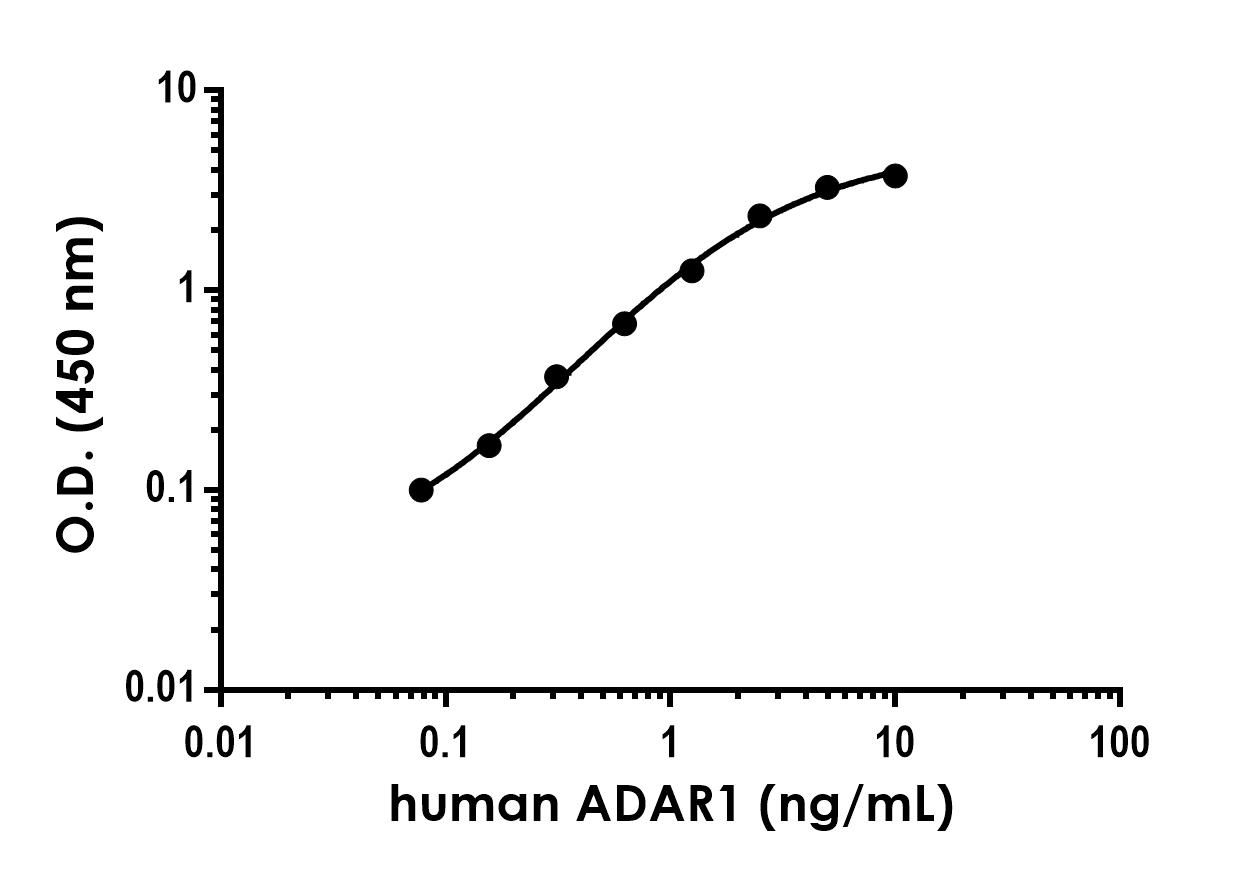 Sandwich ELISA - Human ADAR1 Antibody Pair - BSA and Azide free (AB302749), expandable thumbnail