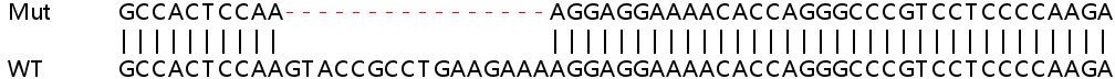 Sanger Sequencing - Human ADARB1 (RED1) knockout HeLa cell lysate (AB258295), expandable thumbnail