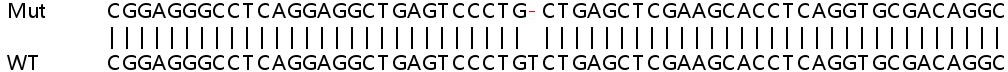 Sanger Sequencing - Human ADCK2 knockout HeLa cell line (AB266025)