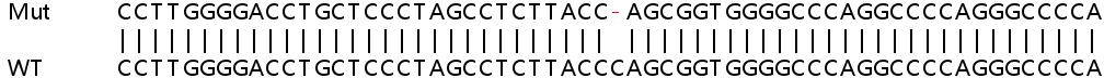 Sanger Sequencing - Human ADCK4 knockout HeLa cell lysate (AB263079)