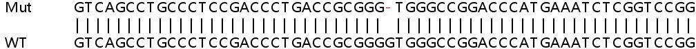 Sanger Sequencing - Human ADCY3 (AC3) knockout HeLa cell line (AB264709), expandable thumbnail