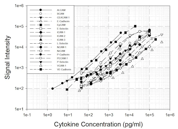 Multiplex Protein Detection - Human Adhesion Molecule Antibody Array (17 Targets) - Quantitative (AB197434)