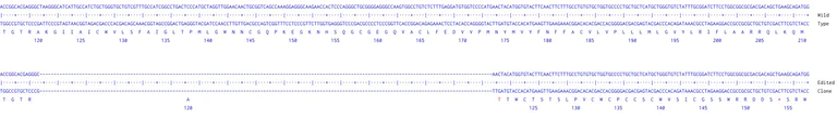 Next Generation Sequencing - Human ADORA2A knockout MCF7 cell line (AB289319)
