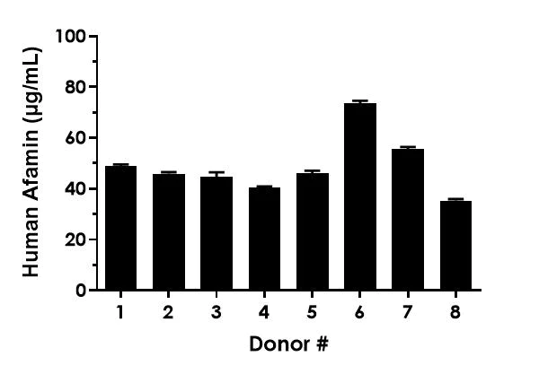 Sandwich ELISA - Human Afamin (AFM) ELISA Kit (AB323527)