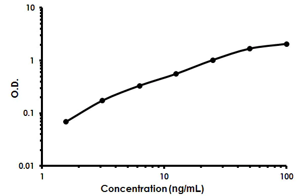 Sandwich ELISA - Human Aggrecan ELISA Kit (AB213754)