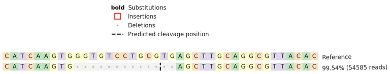 Next Generation Sequencing - Human AGO2 knockout HEK-293 cell line (AB277162)