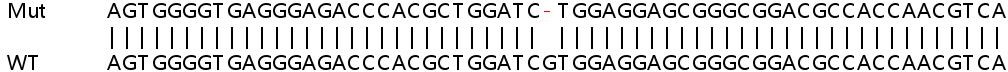 Human AHSA1 (AHA1) knockout Hep G2 cell line