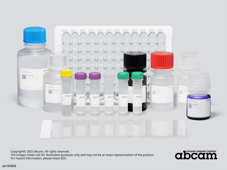 Sandwich ELISA - Human AIF ELISA Kit (Apoptosis-Inducing Factor 1) (AB184858)