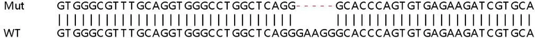 Sanger Sequencing - Human AK1 knockout HeLa cell lysate (AB257824)