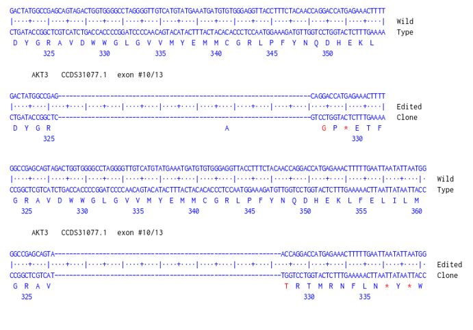 Next Generation Sequencing - Human AKT3 knockout A549 cell line (AB286451), expandable thumbnail