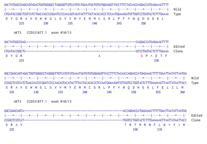 Next Generation Sequencing - Human AKT3 knockout A549 cell line (AB286451)
