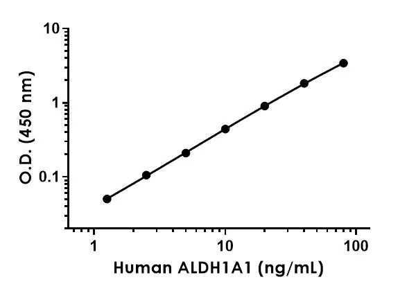 Sandwich ELISA - Human ALDH1A1 ELISA Kit (AB214024)