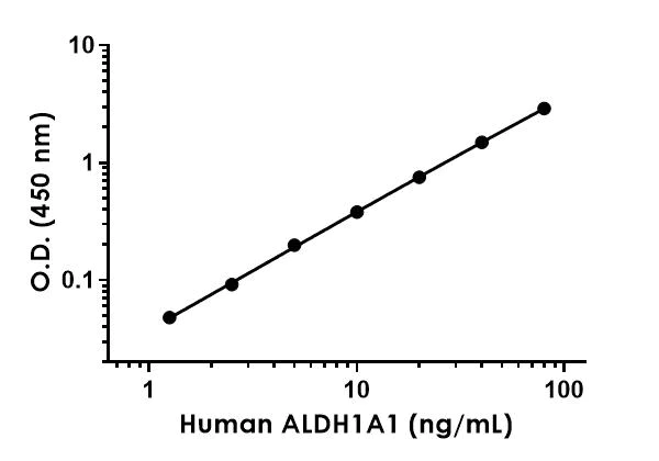 Sandwich ELISA - Human ALDH1A1 ELISA Kit (AB214024)