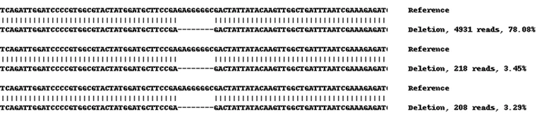 Next Generation Sequencing - Human ALDH1A1 knockout A549 cell line (AB261864)