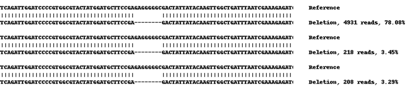 Human ALDH1A1 knockout A549 cell lysate