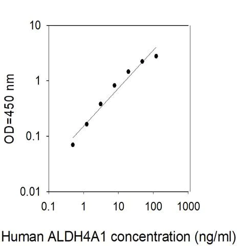 Sandwich ELISA - Human ALDH4A1/P5CDH ELISA Kit (AB313505)