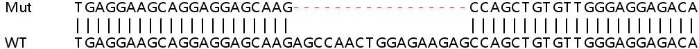 Sanger Sequencing - Human ALKBH2 knockout HEK-293T cell lysate (AB257830)