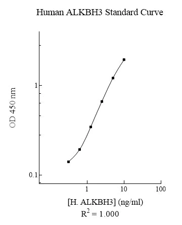 Sandwich ELISA - Human ALKBH3 ELISA Kit (AB283980)