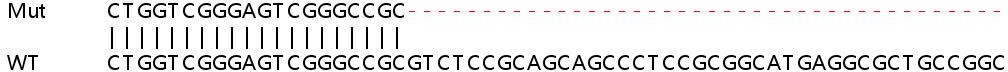 Sanger Sequencing - Human ALKBH5 knockout HEK-293T cell line (AB266762), expandable thumbnail