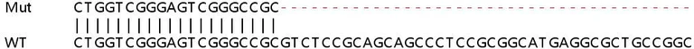 Sanger Sequencing - Human ALKBH5 knockout HEK-293T cell lysate (AB257349)