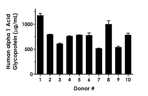 Sandwich ELISA - Human alpha 1 Acid Glycoprotein ELISA Kit (AB243675)