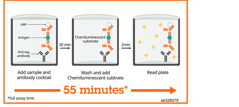 Sandwich ELISA - Human Alpha 1 Acid Glycoprotein ELISA Kit, Chemiluminescent (AB326079)